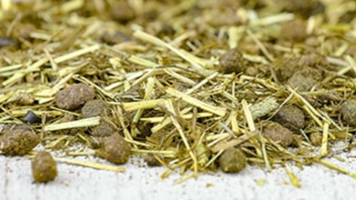 fiberforce gastro feed